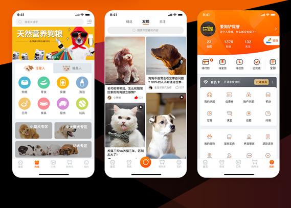 app开发, app开发, 定制app, app开发, 软件开发, 小程序开发, 建站